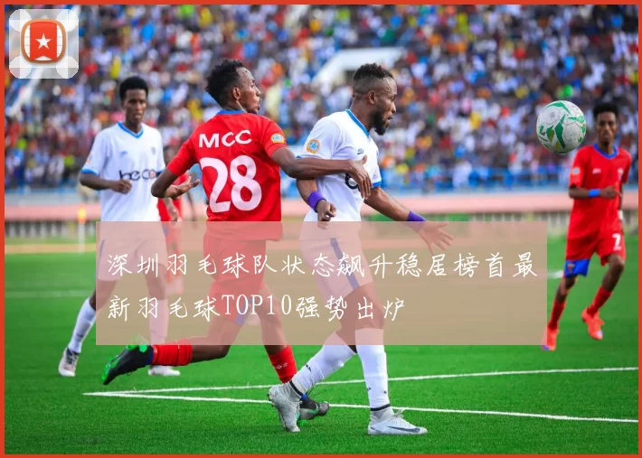 深圳羽毛球队状态飙升稳居榜首最新羽毛球TOP10强势出炉