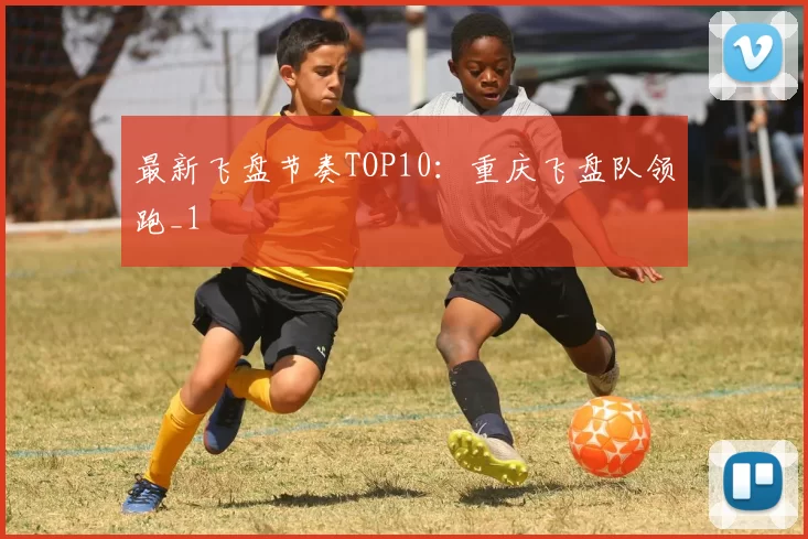 最新飞盘节奏TOP10：重庆飞盘队领跑_1