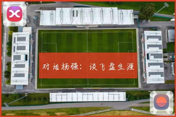 对话杨强：谈飞盘生涯