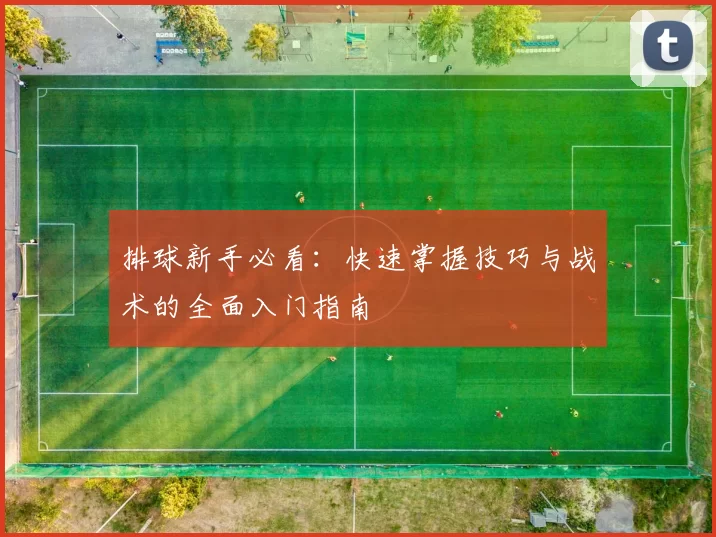 排球新手必看：快速掌握技巧与战术的全面入门指南