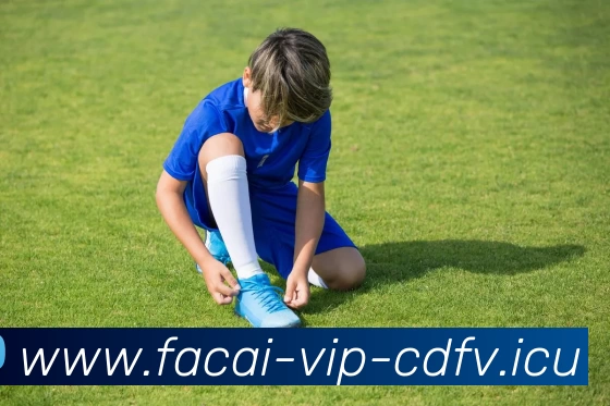 中国2号足球明星的崛起与挑战背后的故事与未来展望